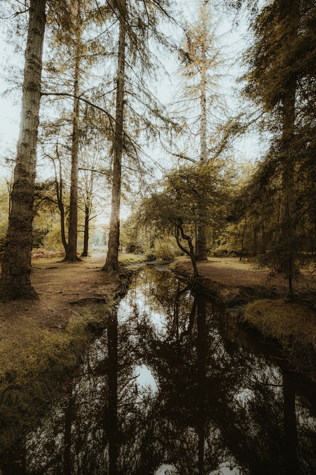Harry Potter Filmed Where at Virginia Water