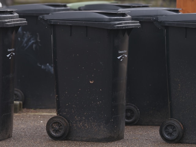 They Found a Fortune in the Trash… But One Betrayal Changed Everything 