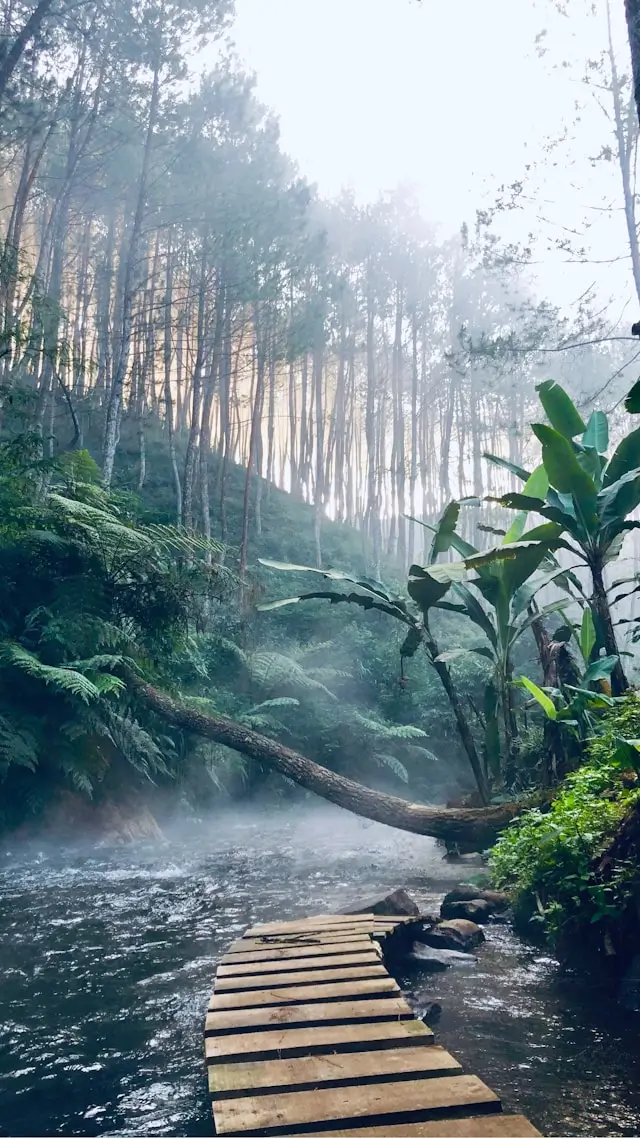Jurassic World Rebirth Story