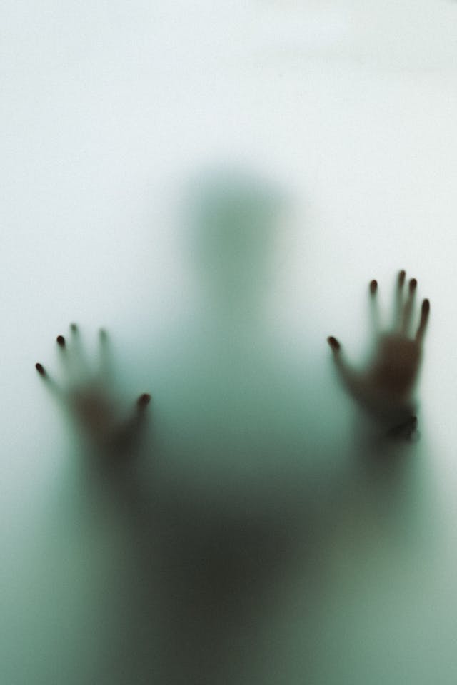 short short horror stories forest shadows